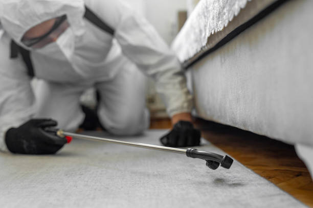Professional Pest Control technician working in Buckner, MO