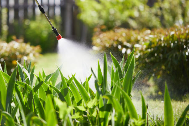 24/7 Emergency Pest Control experts in Buckner, MO